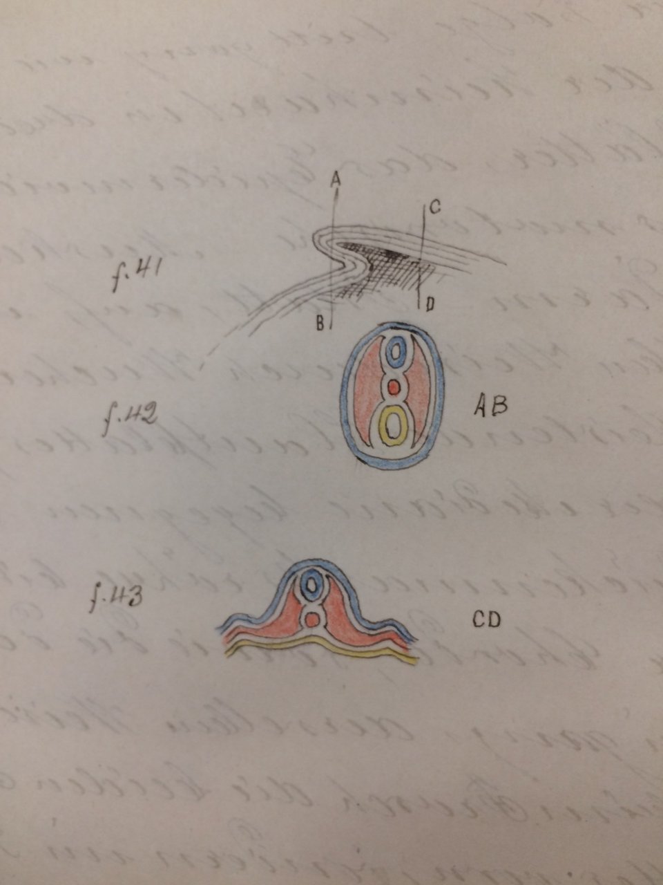 Abbildung von Bettina Bock von Wülfingen